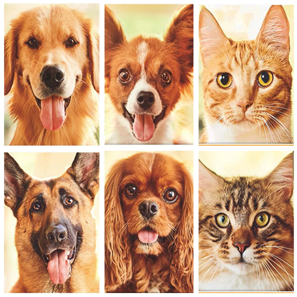 Защитник | Дом и сад