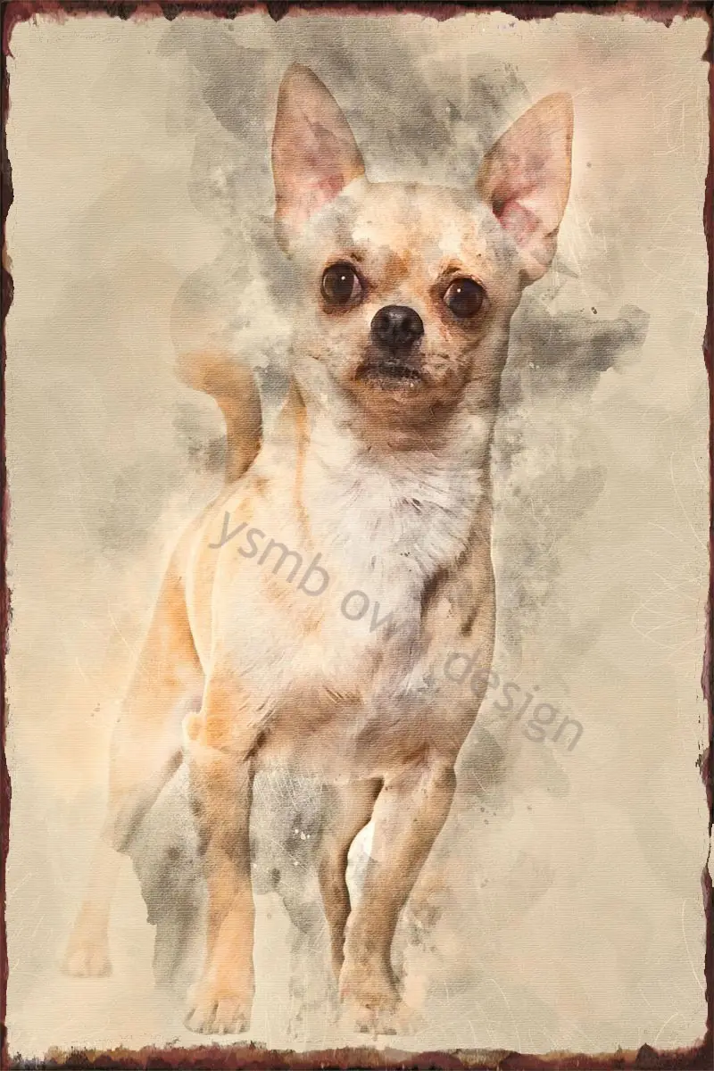 

Жестяная Табличка для чихуахуа, винтажный металлический Ретро знак в виде собаки 14 месяцев Ol, Оловянная табличка, Настенный декор для худож...