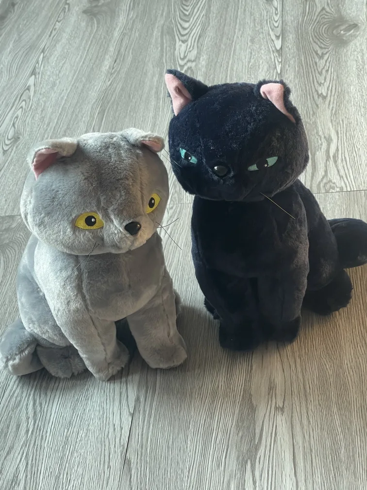 Новая японская цветок Мэри и ведьмы черная кошка Серая японский подарок 2