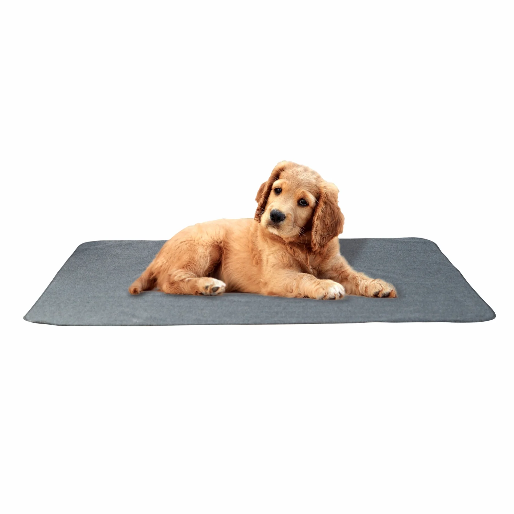 

Dog Cat Mat Non-Stick Food Pad Water Breathable Cushion Waterproof Pest Control Easy To Clean Anti-fouling Pad