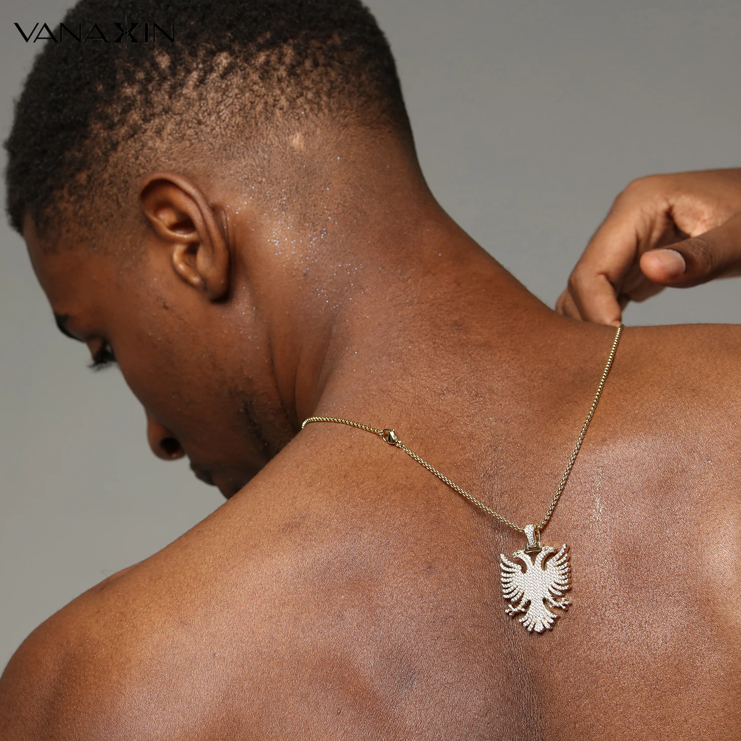 VANAXIN ожерелье с подвеской в виде орла из Албании со льдом Косово двуглавый орел CZ