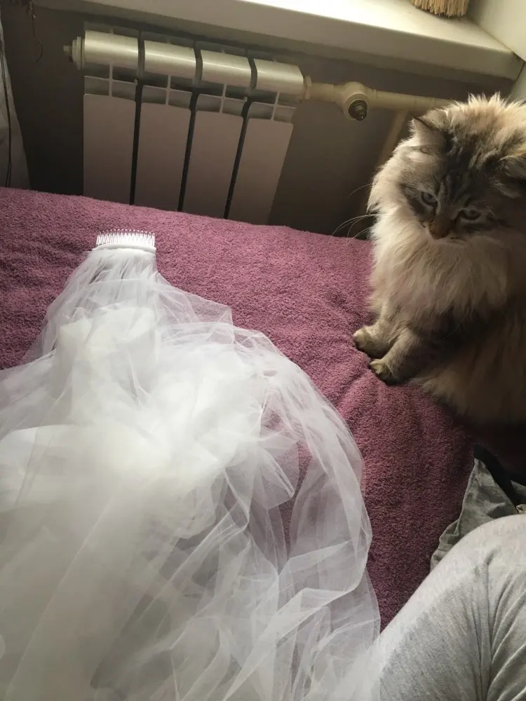 300 см элегантная свадебная фата для невесты с двумя слоями | Свадьбы и торжества