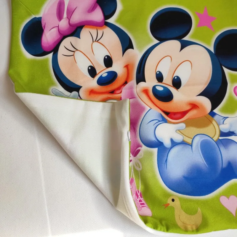 Disney    -  -  /     Pillowsham