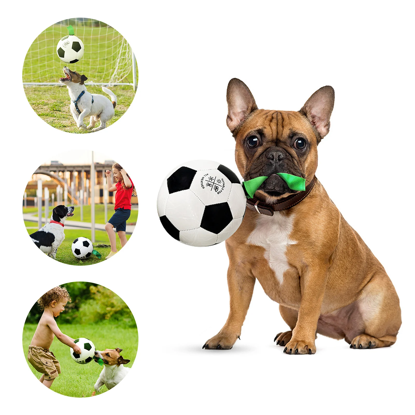

New Dog Toy Rubber Training Interactive Dog Ball Toy Outdoor 18CM Football Chew Toy Pet Stress Reliever Toys Pet Supplies