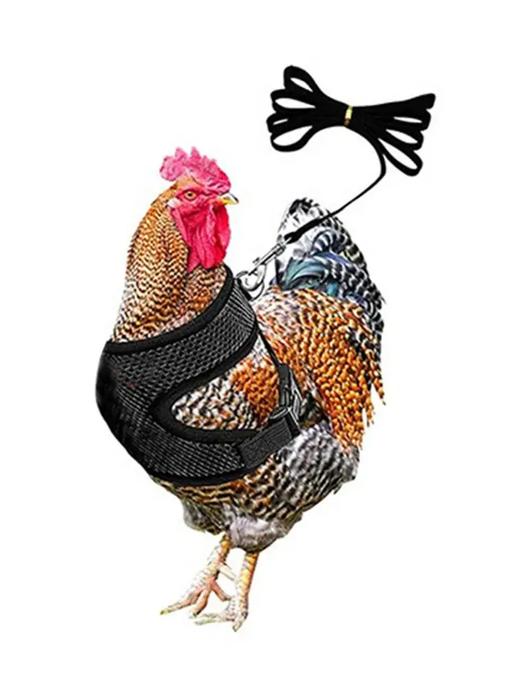 

Lightweight Chicken Harness And Leash Pet Training Harness Adjustable Comfortable Duck And Chicken Breast Strap Traction Belt