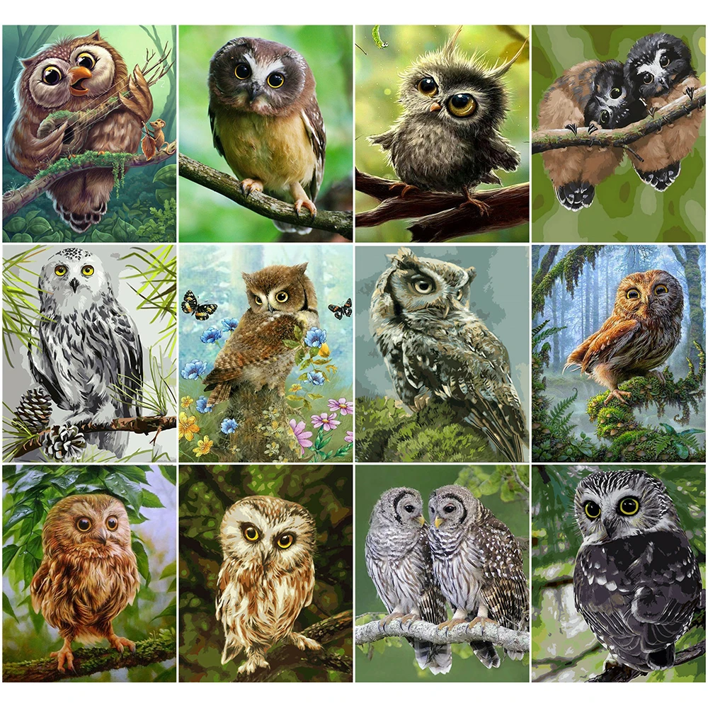 

AZQSD Painting By Number Canvas Animal 40x50cm Home Decoration DIY Acrylic Paint Pictures By Numbers Owl HandPainted DIY Gift