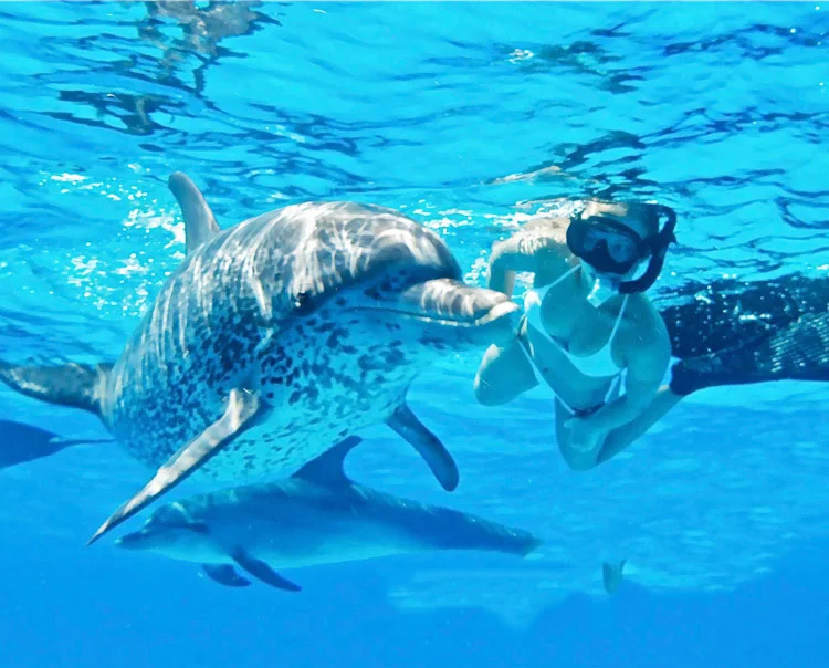 

Snorkeling Mask Snorkel Tube Set Diving Mask Anti-Fog Swimming Diving Goggles Snorkel Tube For Go Pro Underwater Sports Camera