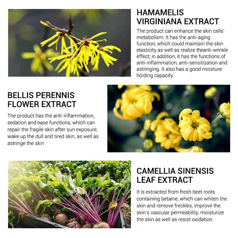 

Pore Treatment Serum Shrink Pores Relieve Dryness Oil Control Firming Moisturizing Repairing Smooth Skin TXTB1