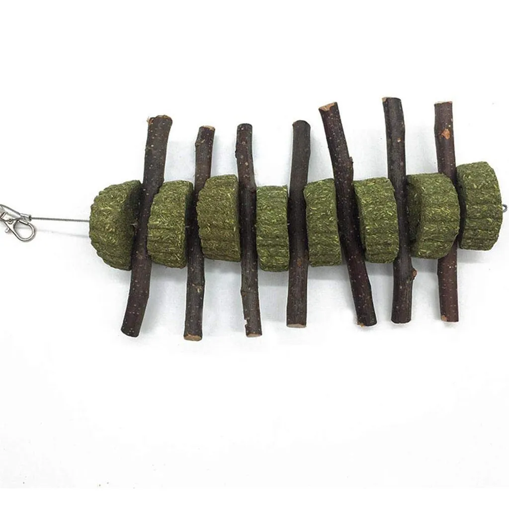 Новый маленький питомец жует игрушки зубы кролика органические яблоко