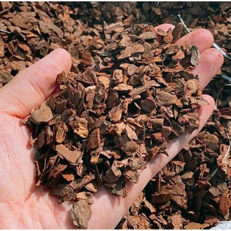 Натуральное растение орхидеи дендробии зимотическое удобрение для коры сосны