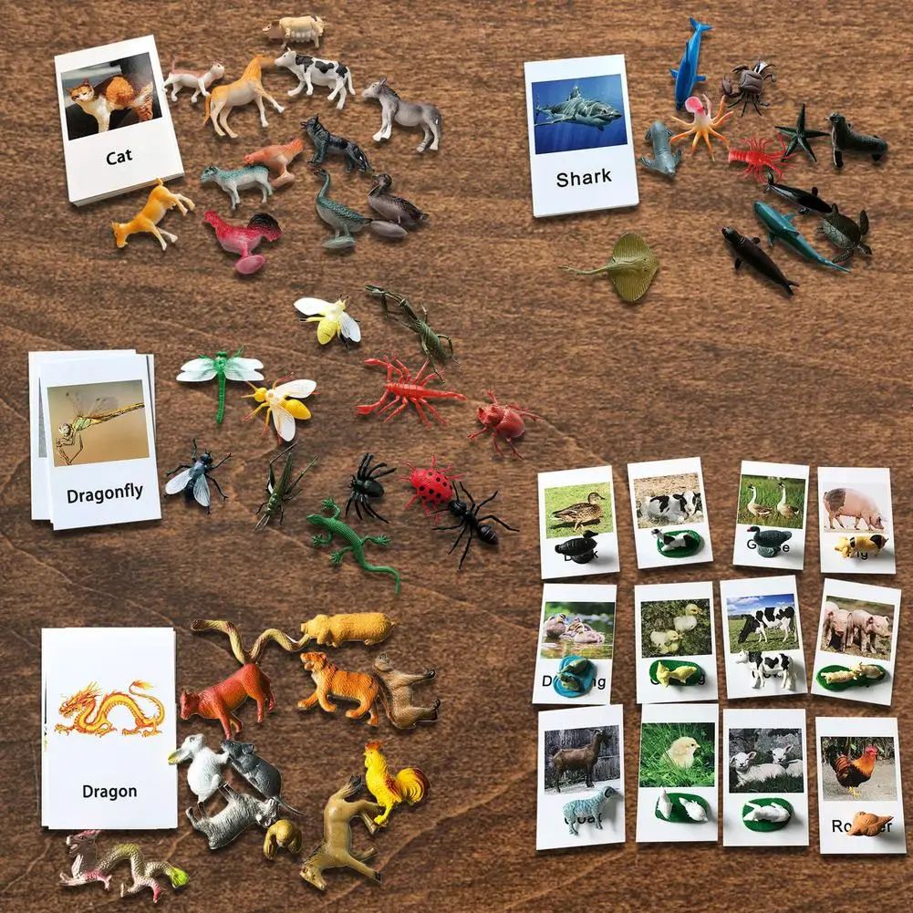 

Montessori Animal Moulds Matching Cards Children's Language Learning Teaching Aids Early Childhood Education Toys