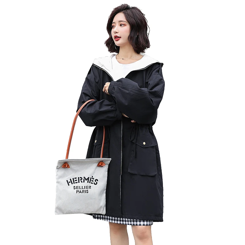 

Cheap wholesale 2019 new autumn winter Hot selling women's fashion netred casual Ladies work wear nice Jacket FP9913