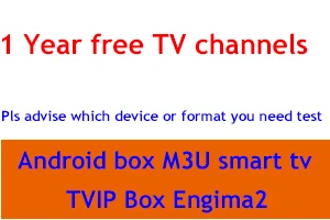 1 year IPTV Лучший стабильный скандинавский IP ТВ скандинавский IPTV код для Швеции, Норвегии, Германии, Великобритании, США, для Android, ios, m3u, smart tv, IP box - Цвет: 1 year IPTV