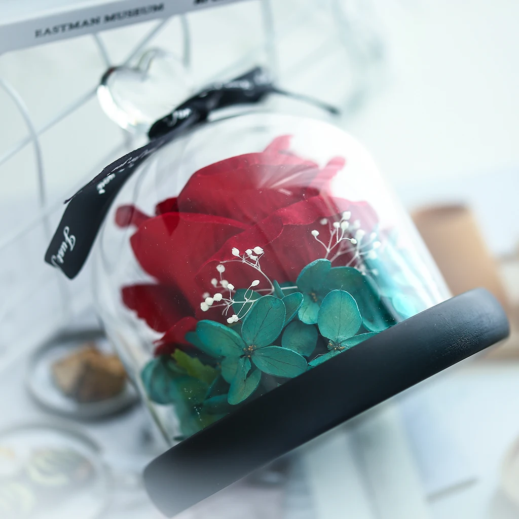 

Beauty And The Beast Preserved Valentines Day Gift Exclusive Rose In Glass Dome With Lights Eternal Real Rose Mother's Day Gift