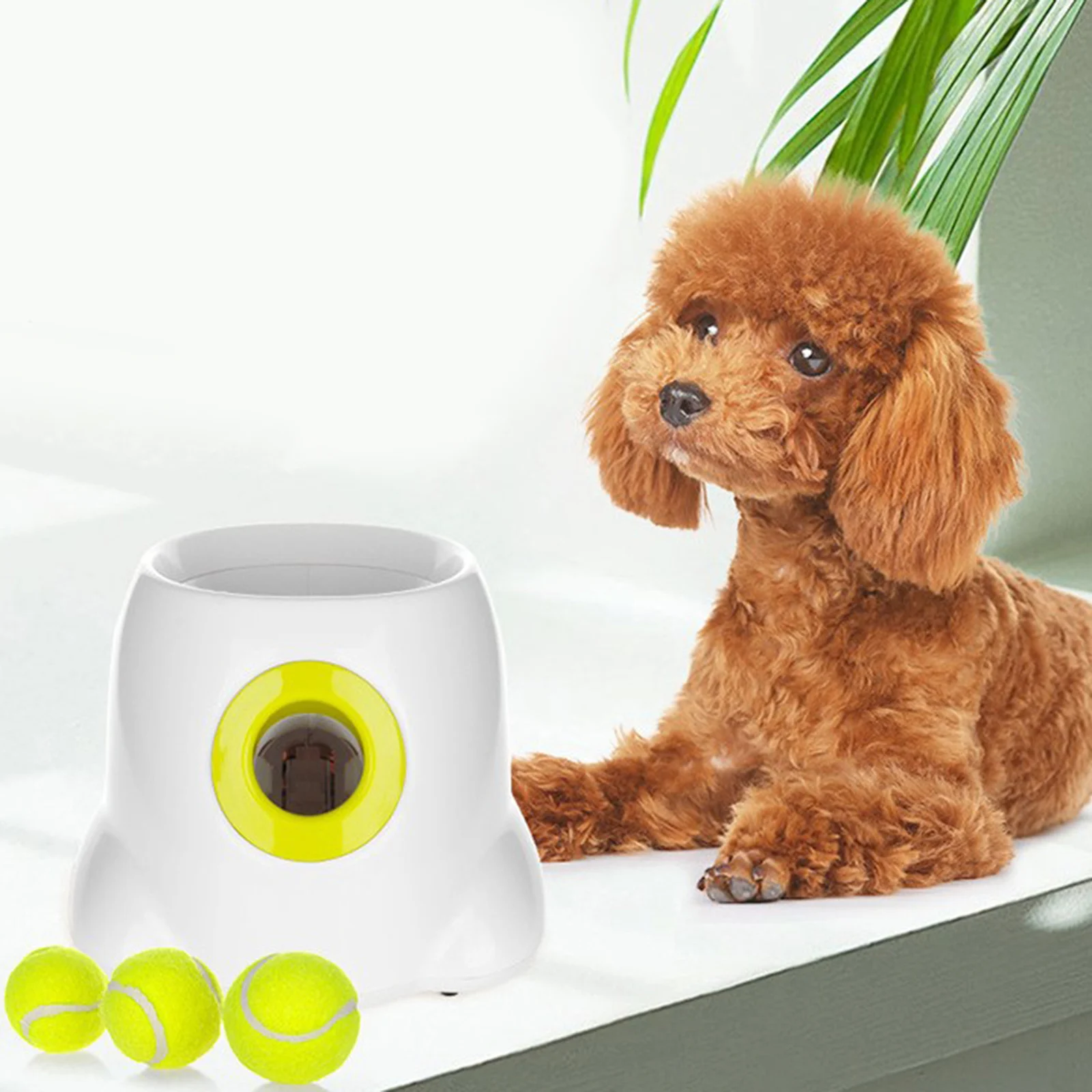 

Dog Pet Launcher Dogs Interactive Toy Tennis Ball Automatic Throw Machine