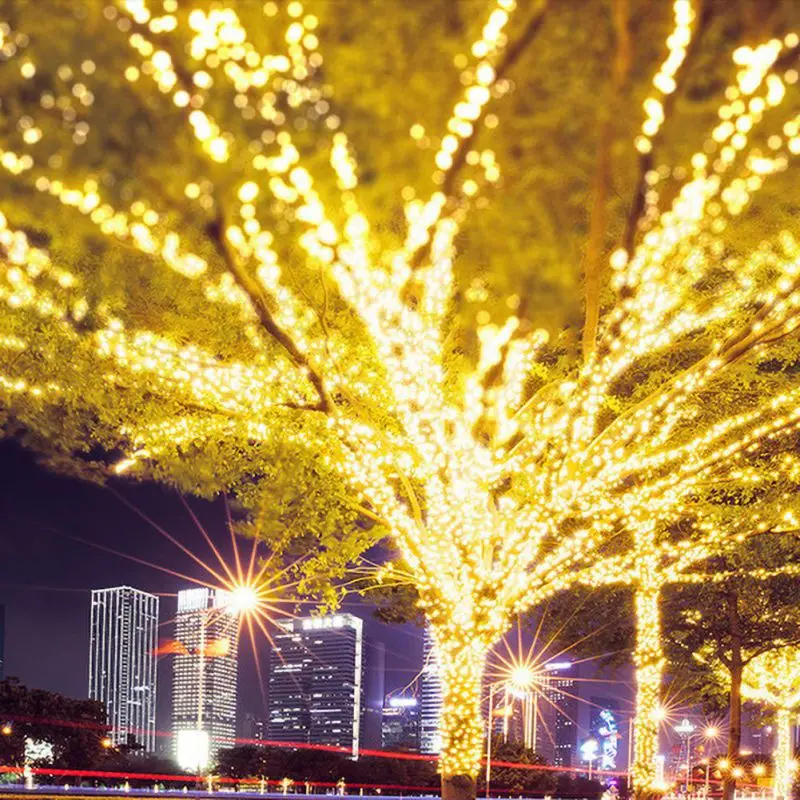 

With Remote Control Starry Light Christmas Decorative String Lights For Wedding Party Street Hot Waterproof LED String Lights