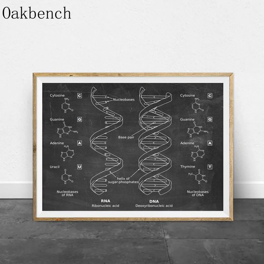 Genetics DNA патент винтажный принт биология Абстрактная Картина на холсте Blueprint