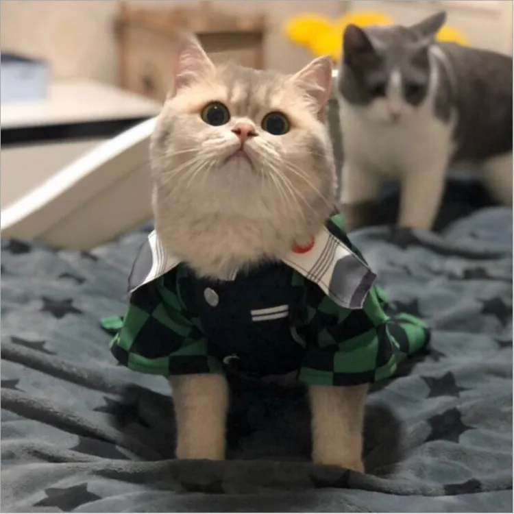 Костюм для косплея животных из аниме убийца демонов накидка кошек и собак Kimetsu No