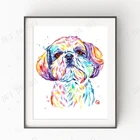 Shihtzu Art by Whitehouse Art, подарок Ши-тцу, подарок для собаки, ветеринара, картина на стену, принты, акварельная живопись