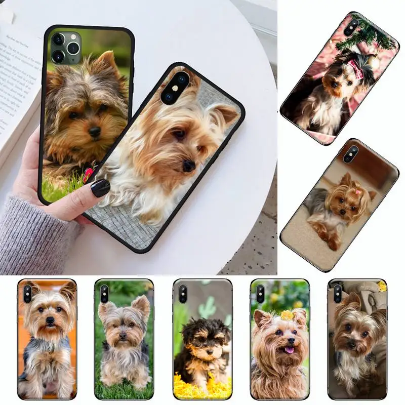 

Cute animal Mini Yorkshire Terrier Phone Case For iphone 12 11 13 7 8 6 s plus x xs xr pro max mini