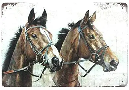 Animal Horse Plaque Poster for Cafe Bar Pub Beer Wall Decor Art Tin Sign 12x16 Inch