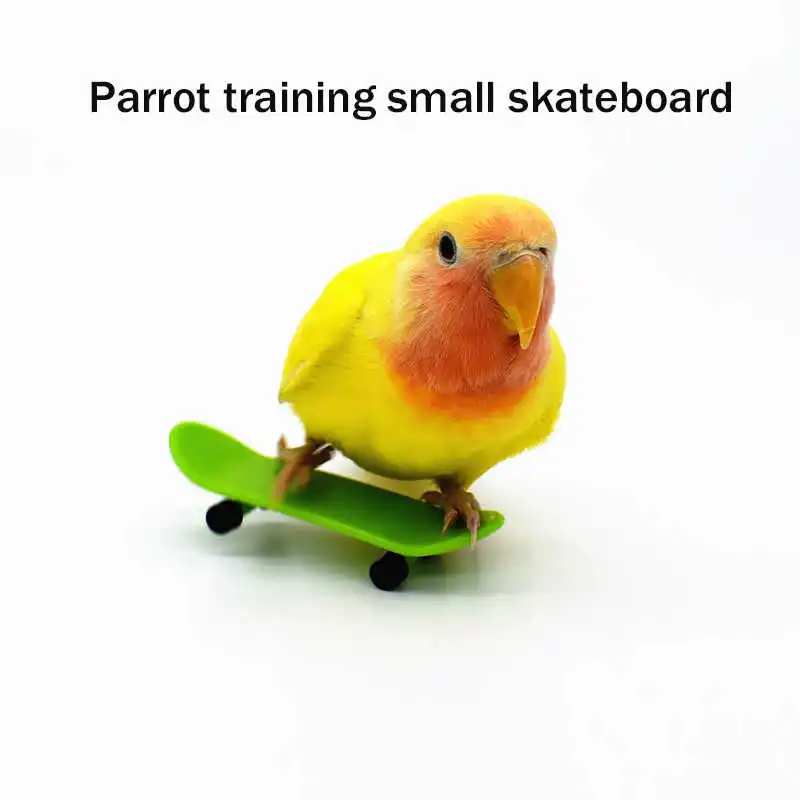 

Оборудование для обучения попугаев, маленький скейтборд, игрушечный попугай, шкив, маленький Солнечный кокатиль, принадлежности для птиц, роликовые коньки, скейтборд