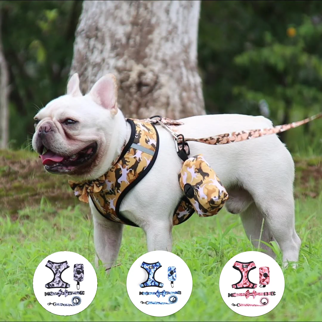 

2021 New 4-Piece Outdoor Dog Leash Harness Printed Chest Strap Collar Set Suitable Suitable For Small Dogs Medium Dogs Large Dog