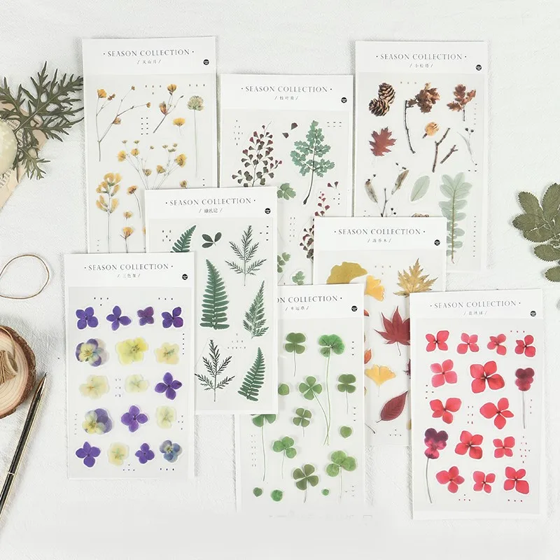 INS Стиль цветок наклейки &quotрастения&quot сосновая шишка с изображением зеленых