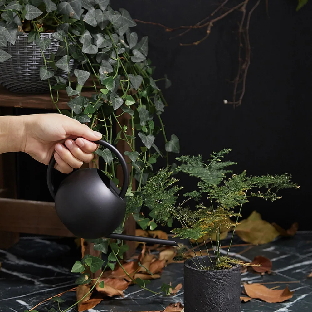 

1pc 1000ml Watering Kettle Practical Watering Can Watering Pot with Long Spout