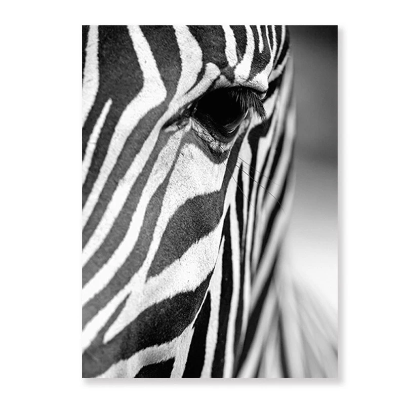 zebra Черный и белый в африканском стиле, с рисунками животных, зебры, холст, рисунки, Постер печати настенные картины на холсте для Гостиная украшения для дома - Цвет: zebra
