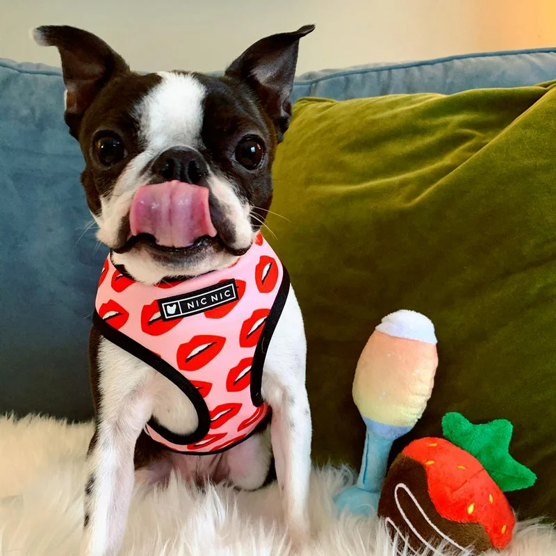 Поводок жилет для маленьких и средних собак поводок с красными губами