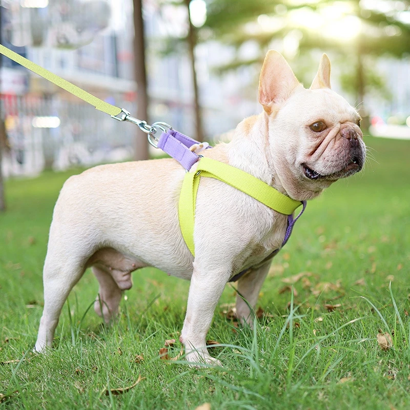 Собака Радуга поводок набор Pet поводки для щенков каната жилет нагрудный ремень