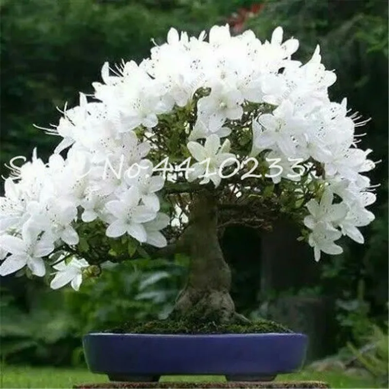 5 шт. искусственный цветок |