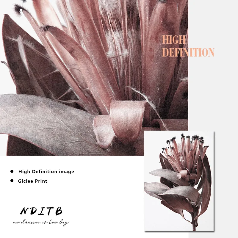 Цветок Protea Постер в скандинавском стиле цветочный принт на холсте скандинавский