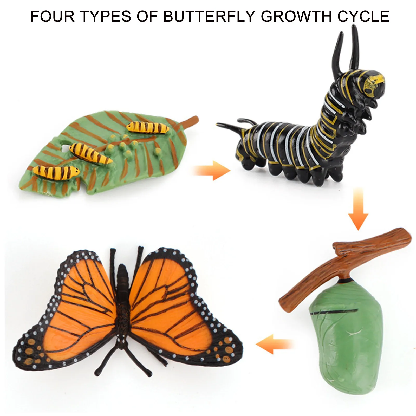 

baby toy 4 Piece Insect Figure Animal Life Cycle Plastic Brood To Mature Period jouet bb