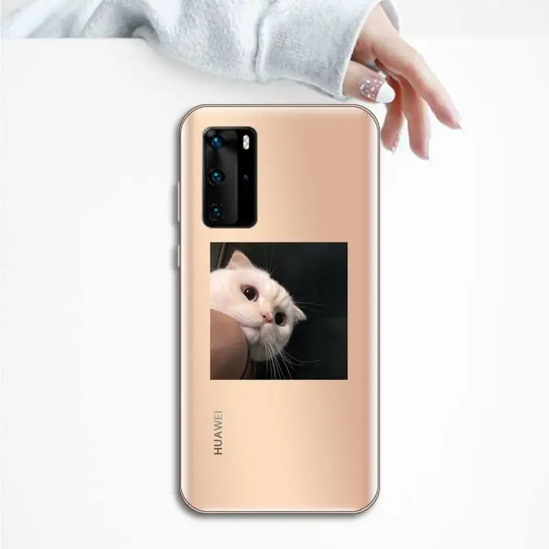

Cute aniaml cat pattern Phone Case Transparent for Huawei P honor 8 10i 20 30 40 smart 2019