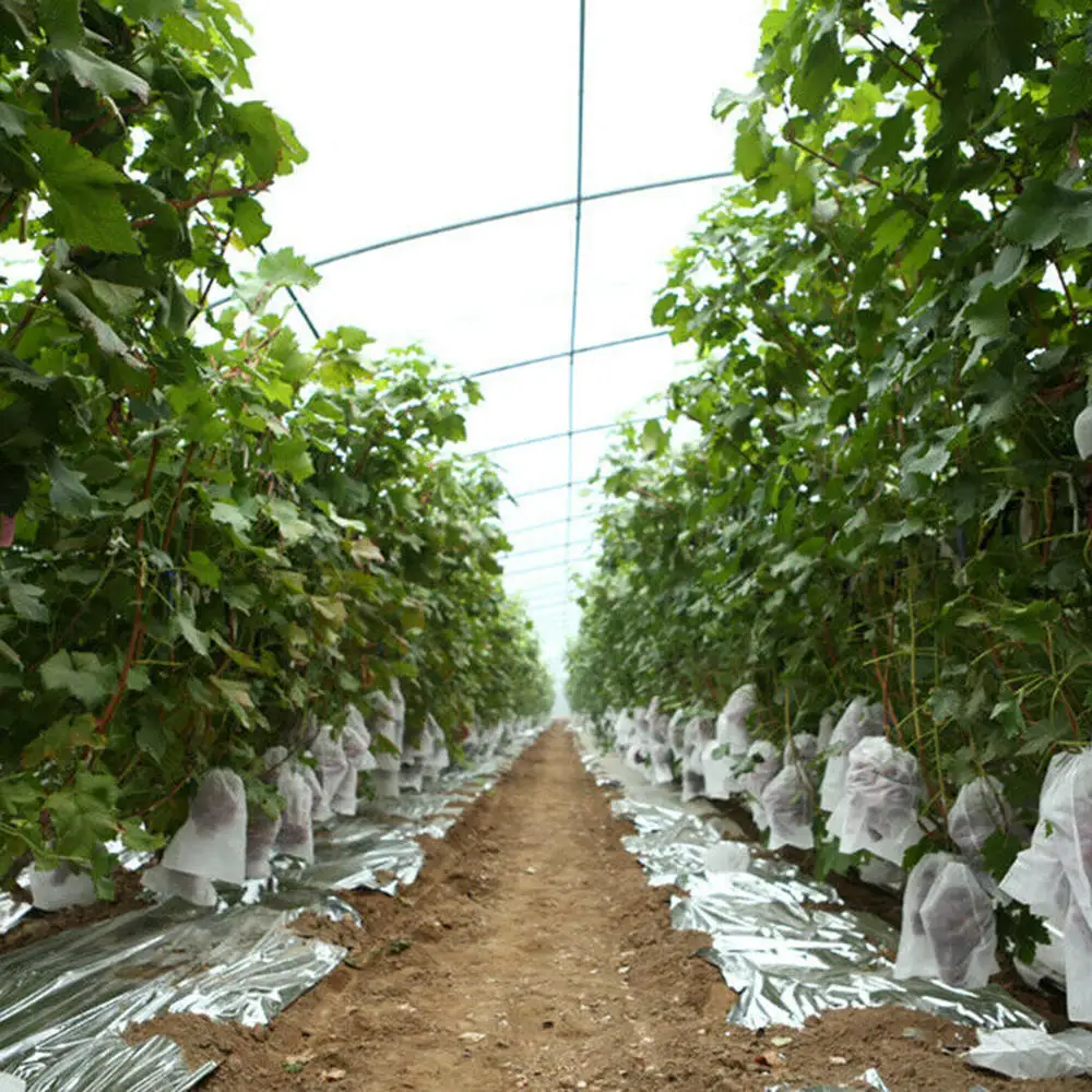 

100Pcs Set Garden Plant Fruit Protect Drawstring Mesh Net Bag Anti Bird Netting Keeps Out Insects Pests Birds And Other Animals