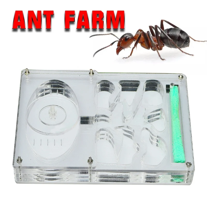 Муравьиная ферма обучающее гнездо насекомых лабиринт для кормления живая
