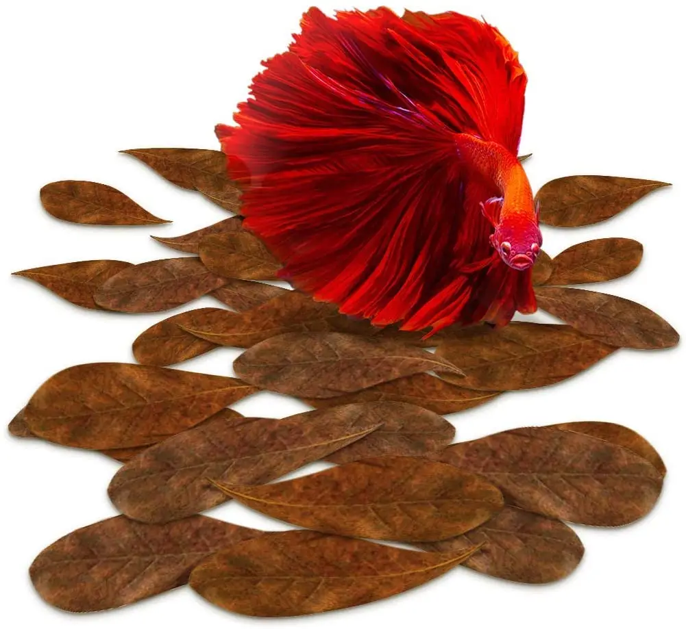 Натуральные листья миндаля для аквариума Betta &amp Gouramis 200/100/50 шт. | Дом и сад