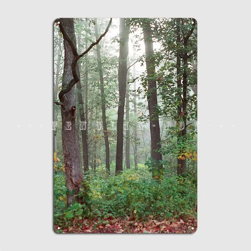 

Misty Forest Poster Metal Plaque Club Party Home Designing Painting Décor Tin Sign Poster