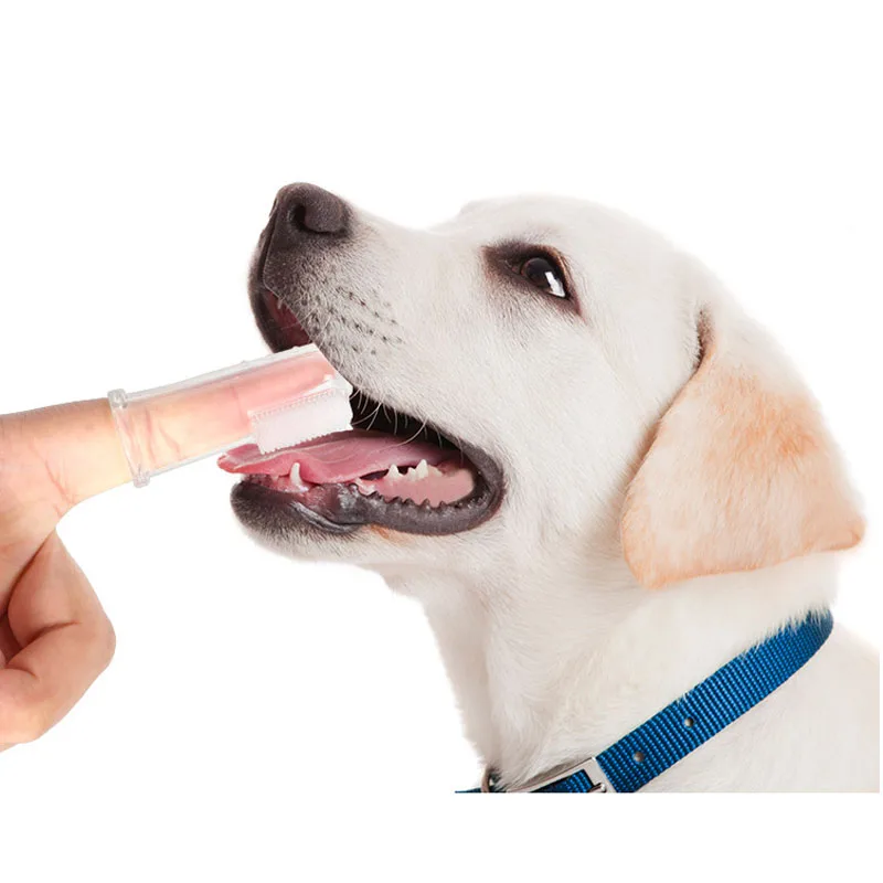 

Dog Toothbrushes Super Soft Pet Finger Toothbrush Teddy Brush Bad Breath Tartar Teeth Tool Dog Cat Cleaning Pet Supplies
