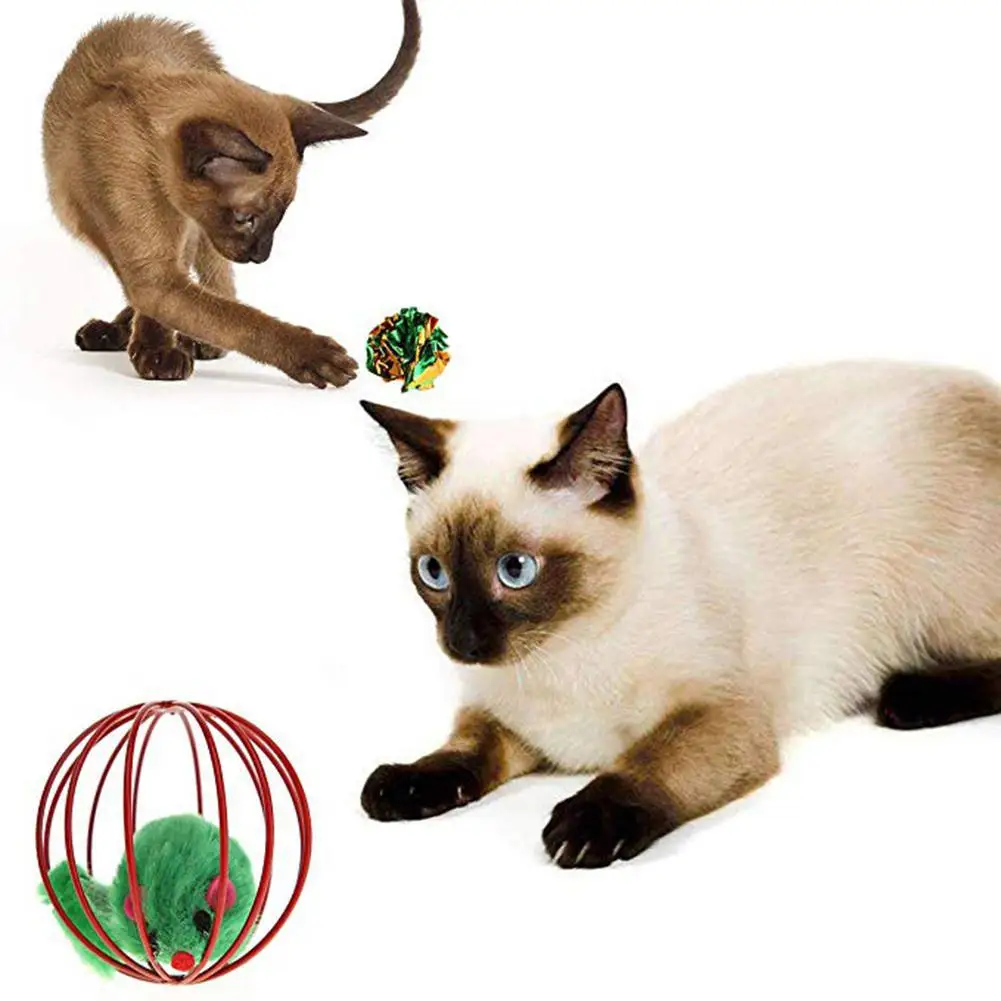 11 шт./компл. игрушки для котов комплект выдвижной кошка кошачья мята рыба