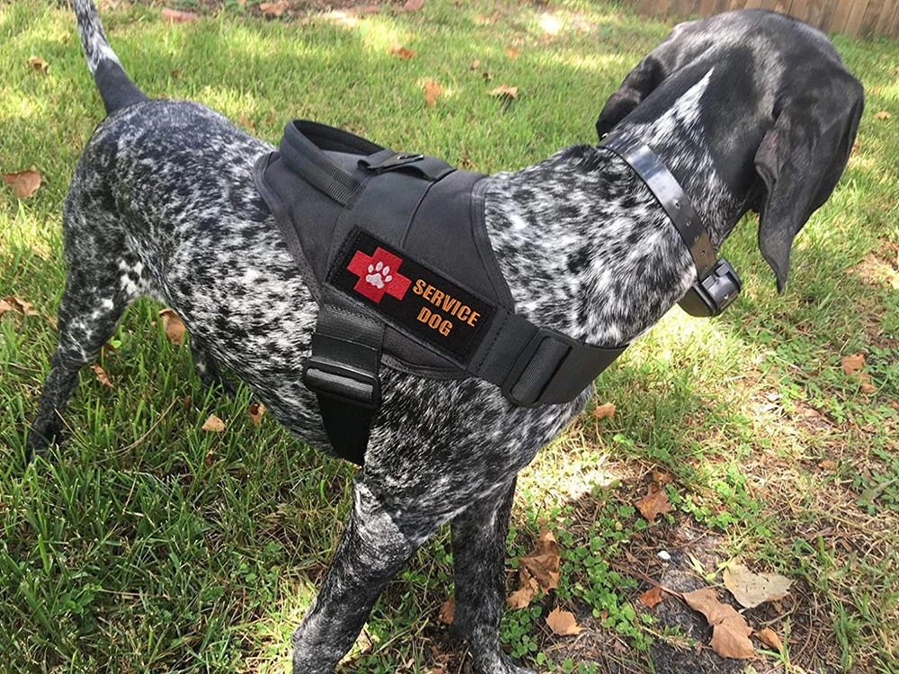 Поводок для собак K9, регулируемый нейлоновый ошейник для собак, жилет банджи, поводок для собак, поводок для маленьких собак, немецкая овчарка