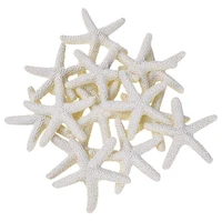 15 pieces creamy white pencil finger starfish for wedding decor home decor and craft project