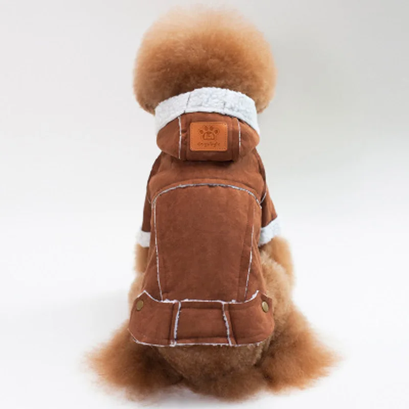 Женская зимняя одежда для домашних животных разных цветов в британском мире