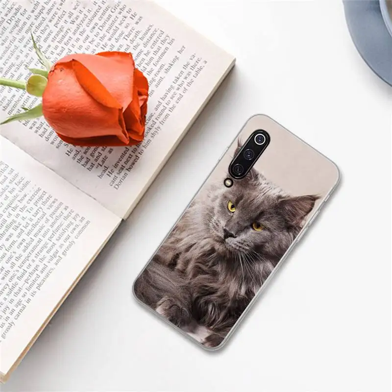 

pet maine coon cat lovely animal Phone Case For Xiaomi Redmi note 7 8 9 A t k30 max3 9 s 10 pro lite