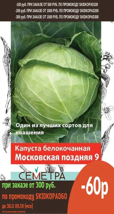 СЕМЕНА КАПУСТА БЕЛОКОЧАННАЯ &quotМОСКОВСКАЯ ПОЗДНЯЯ 9&quot (А) 0 5 Г (10/1200) &quotСЕМЕТРА&quot |