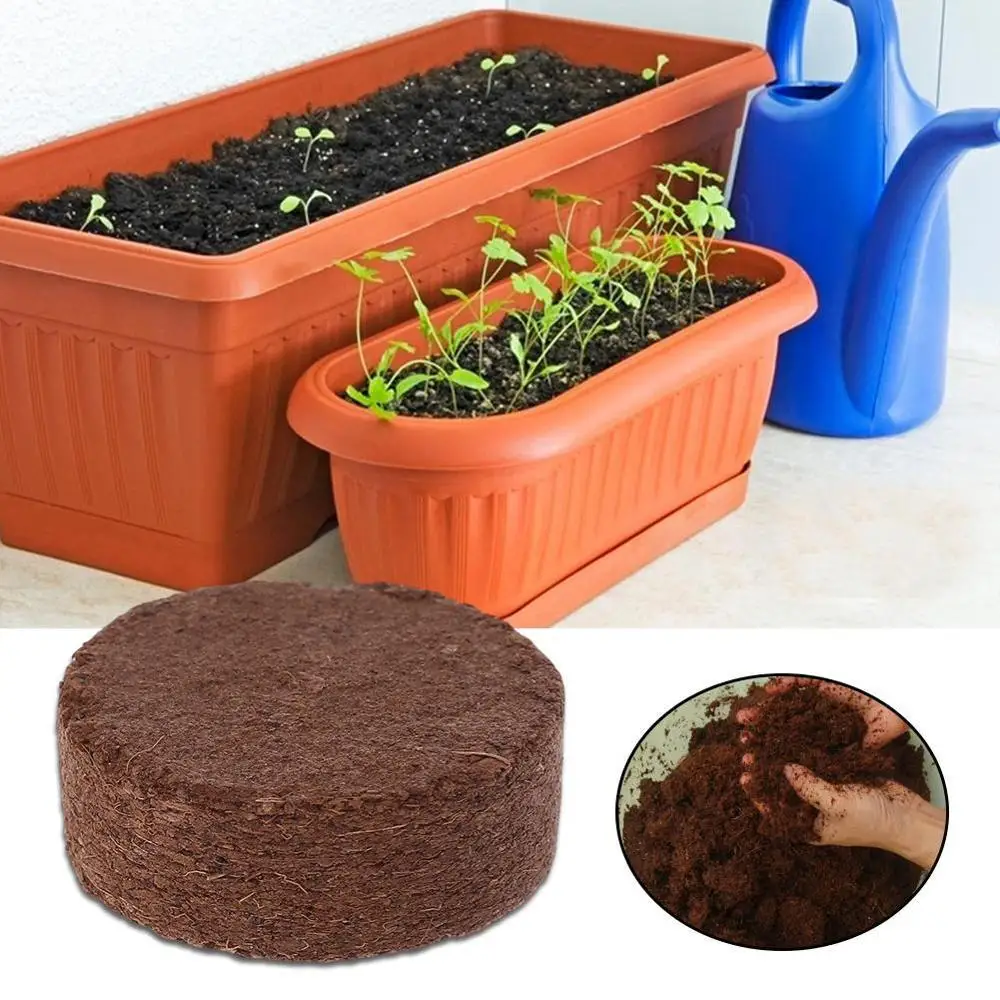 Суккуленты цветочный натуральное кокосовое волокно подложка кирпичи детский