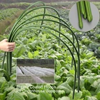 Кольца для выращивания растений, садовые держатели для теплиц, 6 штук