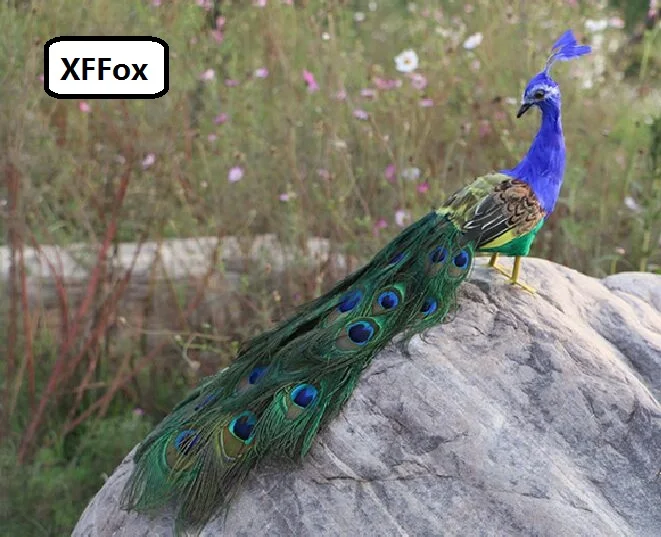 small cute real life peacock model foam&feather turned peacock bird gift about 50cm d0045